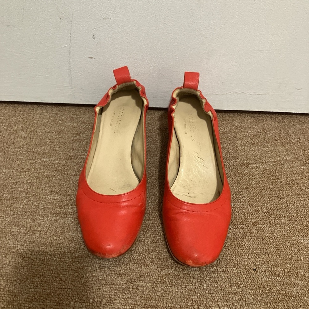 Everlane ballet flats!